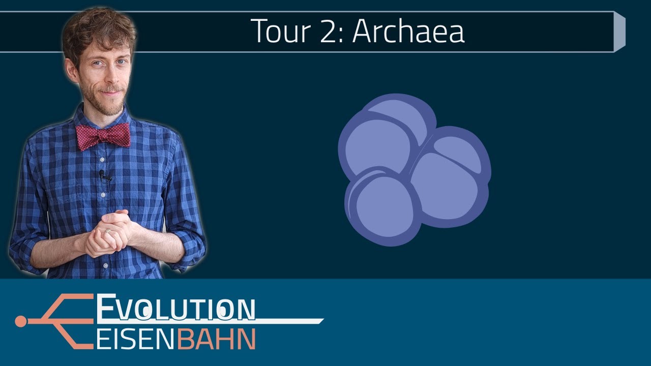 Tour 2: Archaea – the most underrated Domain of Life