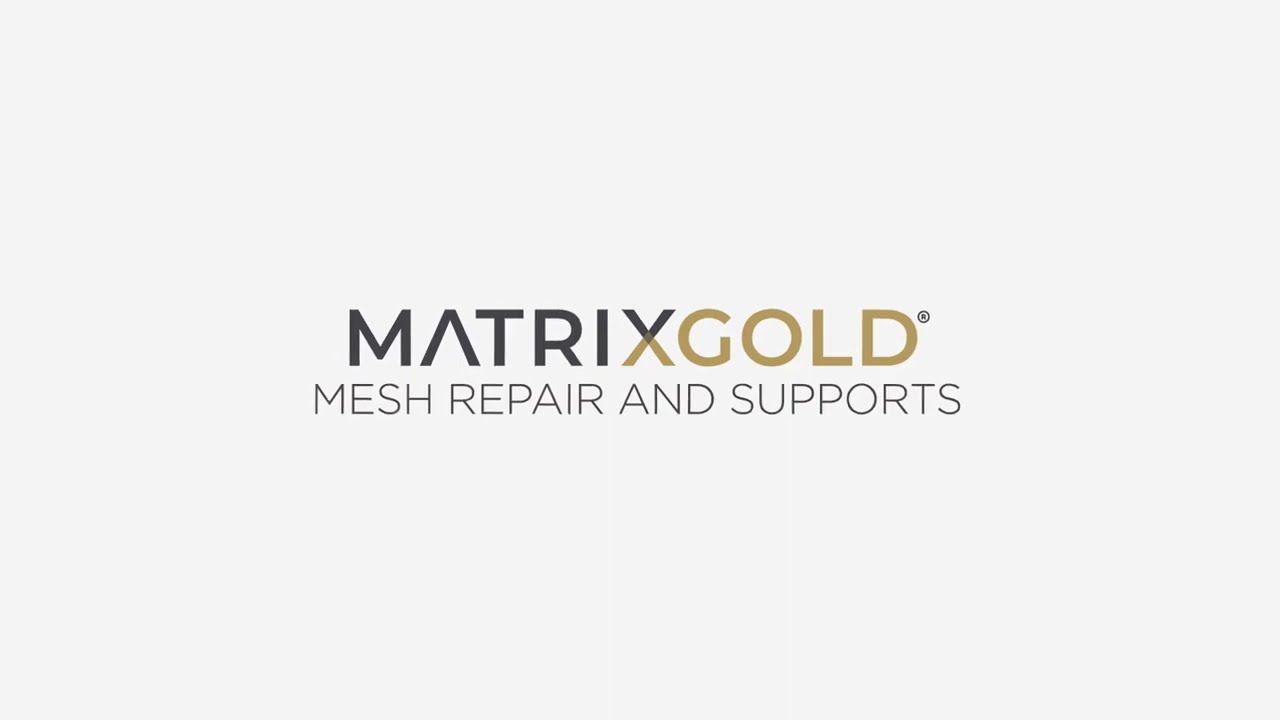 MatrixGold 3 Parametric Jewelry Design — EP 12  Mesh Repair and supports