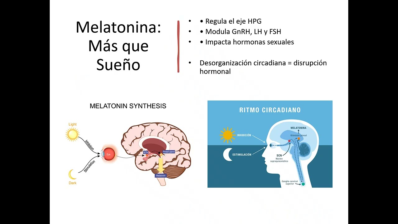 HORMONAS BIOIDENTICAS Y LA GLANDULA PINEAL
