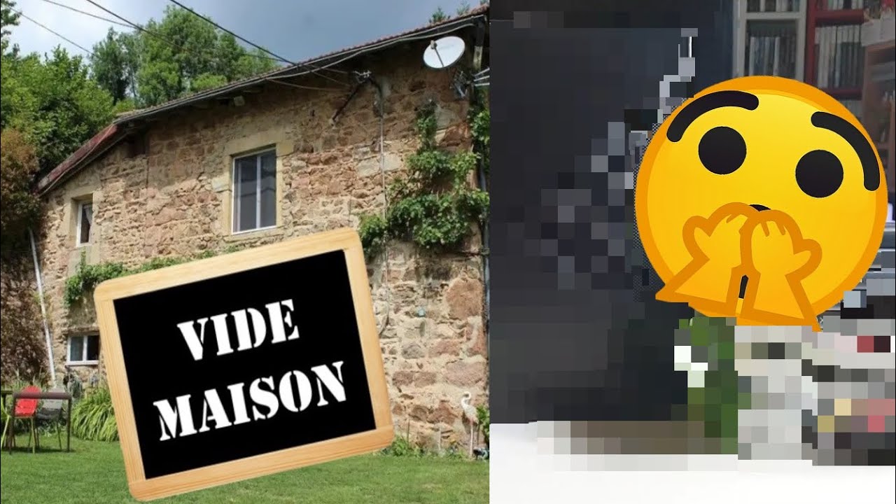 VIDE MAISON Un lot Jeux Vidéo avec une console en série très limitée 🎮