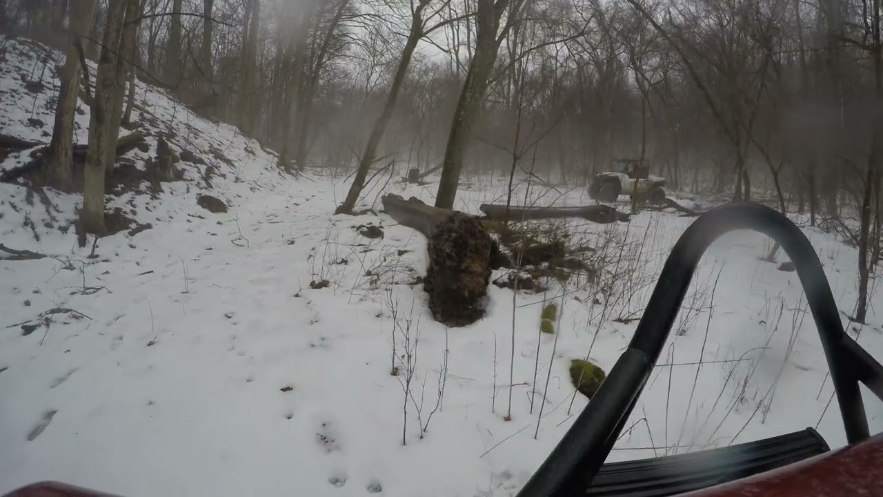 ride and stop to cut tree