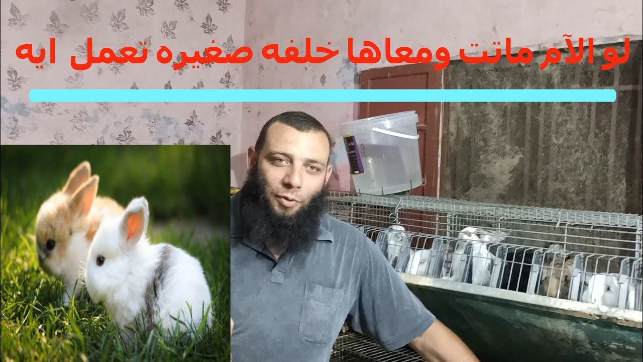 لو الأم ماتت ومعاها خلفه وصغيره تعمل ايه