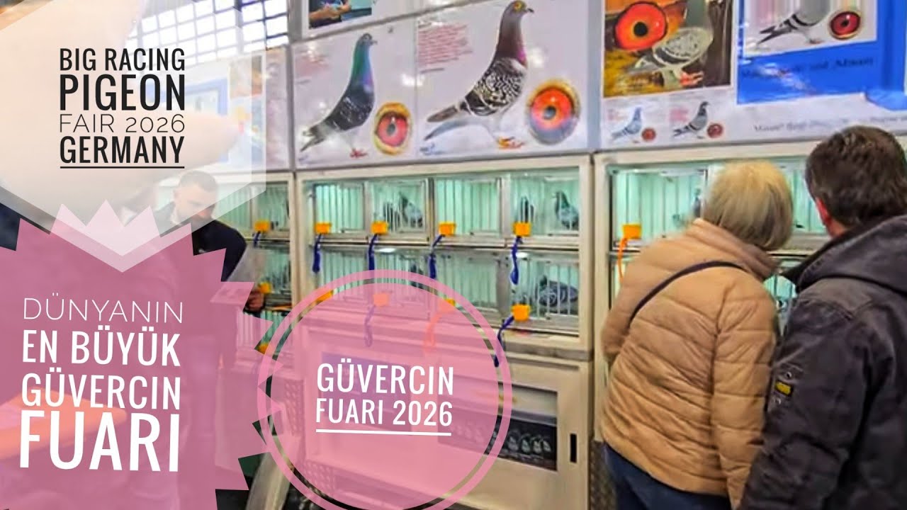 39. Uluslararası Güvercin FUARI ALMANYA 2026, #39. İnternational Racing Pigeon FAIR 2026 Germany, Do