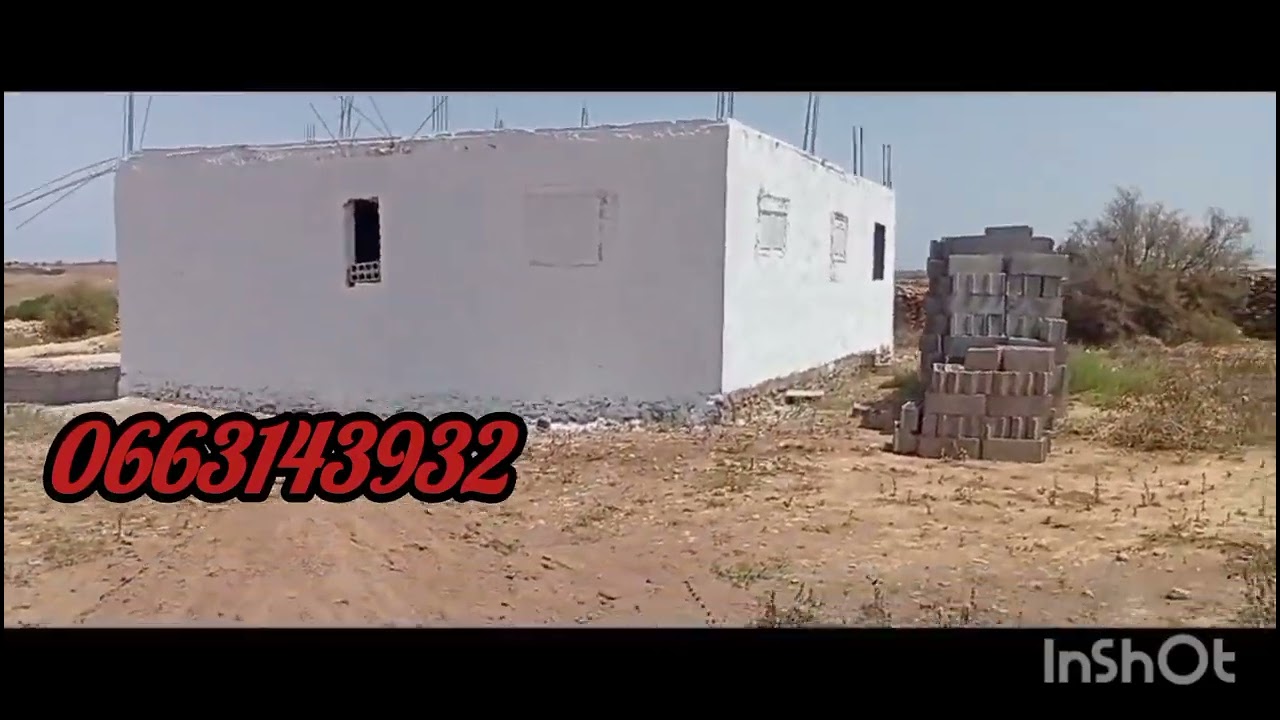 ارض للبيع نواحي الجديدة بن معشو محافظة مساحتها 300متر😱 فيها دار والماء والكهرباء 🤷🏡0663143932