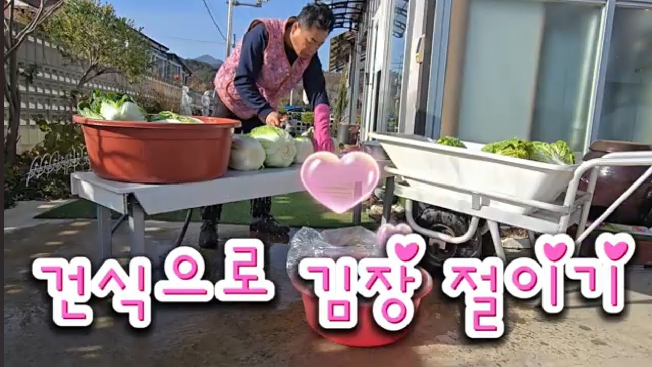 6년 검증 건식 배추 절이기