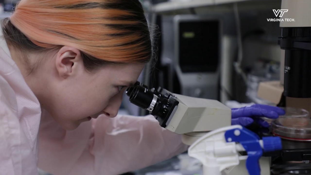 The Gourdie Lab