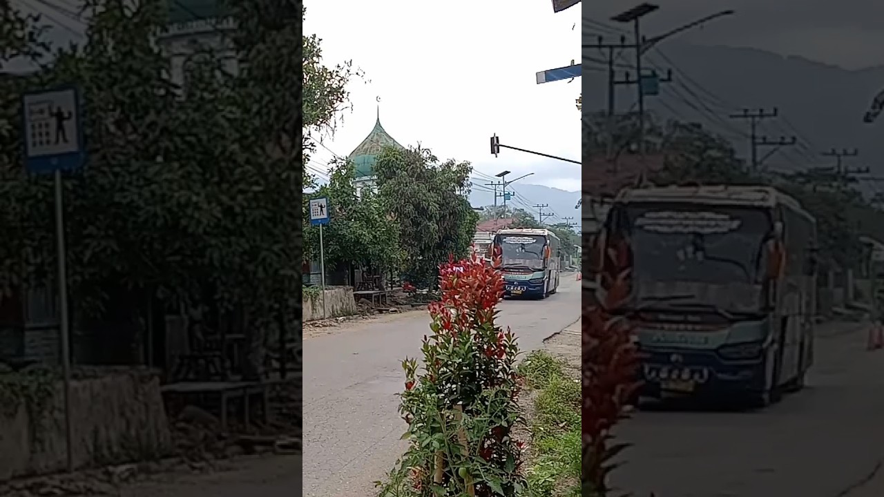 BODY JADUL ! TENAGA MASIH JOSS ALS 381 #als381 #alssemarang #als270 #alsmania#bus
