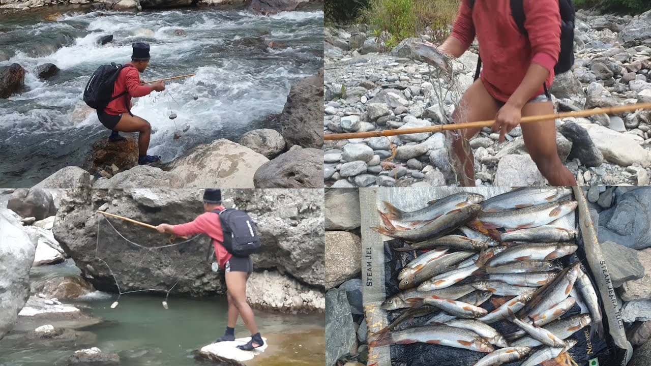 SMALL NET TRAP FISHING IN NEPAL | WE WAITED WHOLE NIGHT TO FISH | ASALA FISHING | HIMALAYAN TROUT |