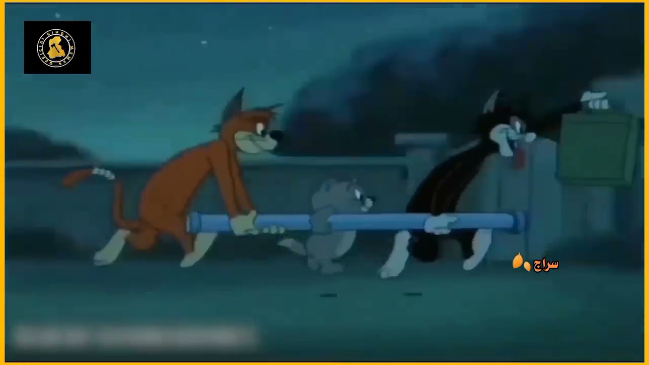 Tom and jerry sindhi version /funny\🤣