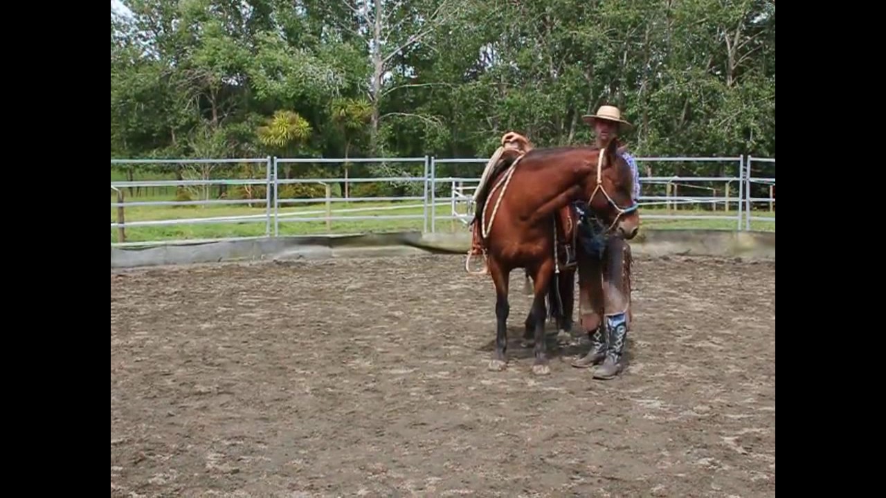 Basics - Lateral Flexion