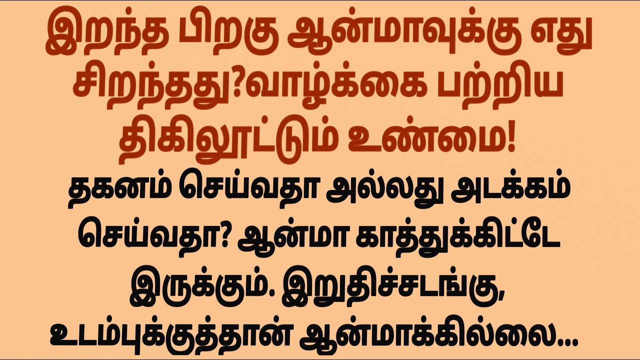 புதைப்பதா அல்லது எரிப்பதா?  #படித்ததில்பிடித்தது #சிறுகதை #sirukathaigal #sirukadhaigal #சிறுகதைகள்
