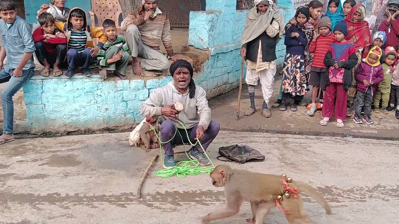 Bandar Bandriya (Khel) like and subscribe, comment...