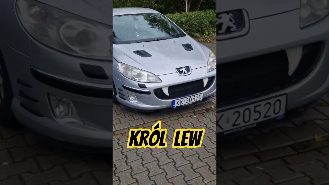 Король Лев замечен на парковке