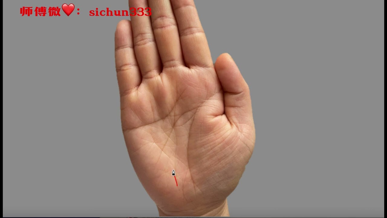 女人手握凤尾纹，一个非常吉祥的符号，天生做老板娘的命！#手相
