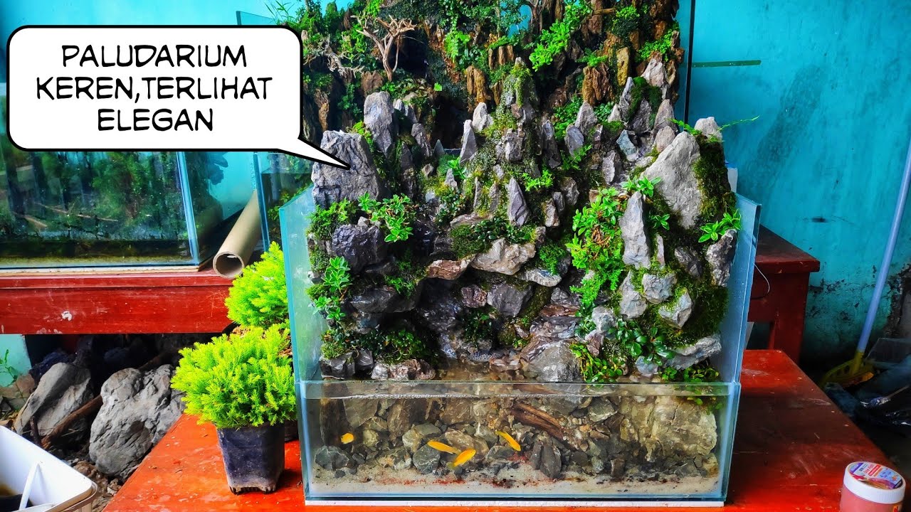 #147 Membuat paludarium tema gunung
