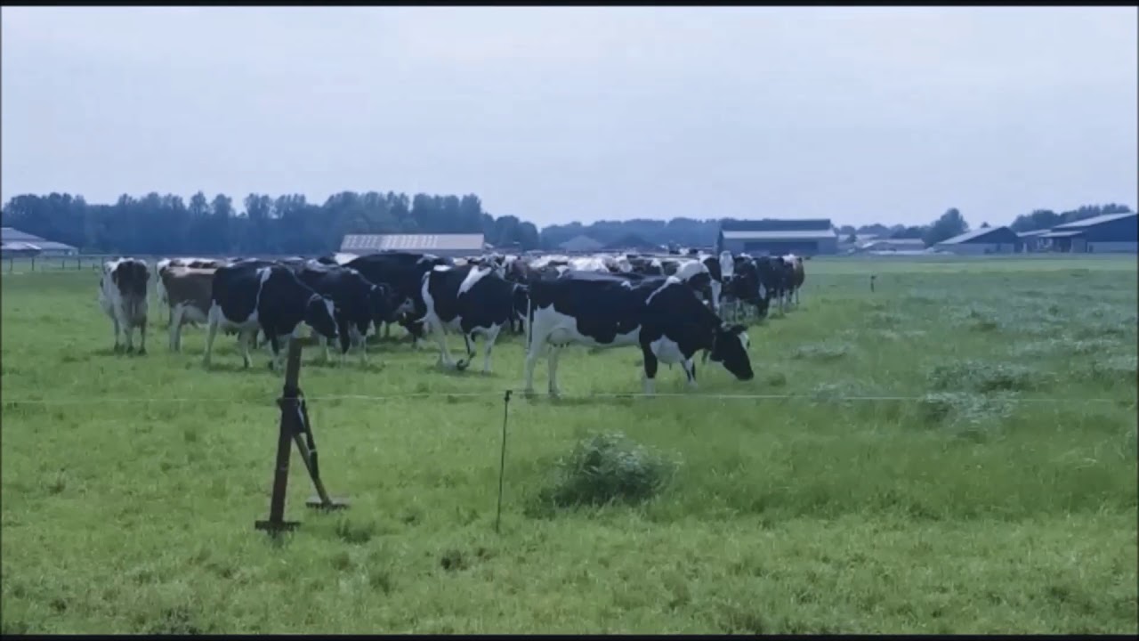 Less work for the farmer with an automatic gate opener