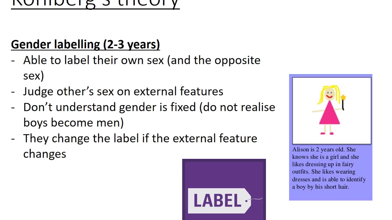 5  Kohlberg's theory of gender development