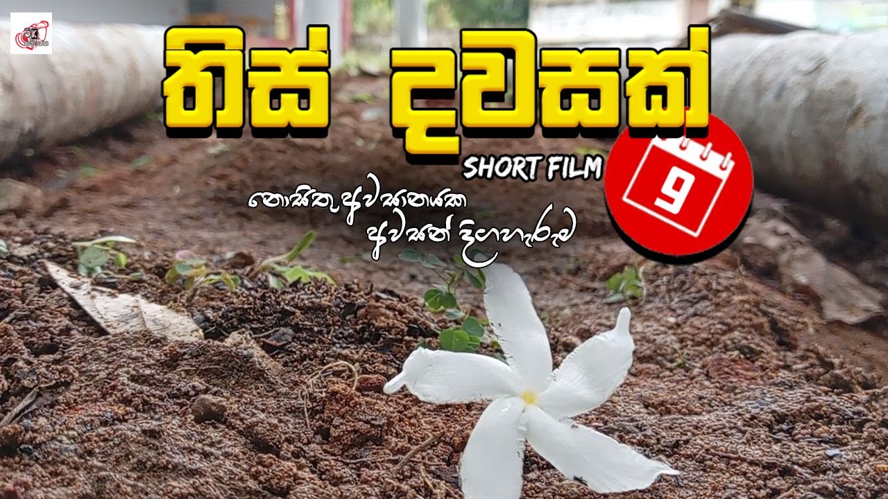තිස්දවසක් | Short Film | අවසන් කොටස | Sinhala Youtube Series | ටීK සමාජය @teeksamajaya #තිස්දවසක්