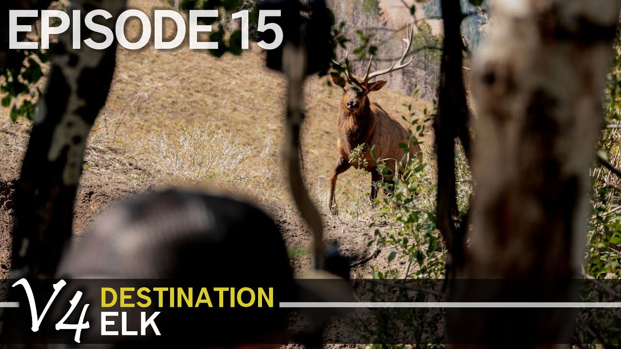 Shoot or Pass? Confronted by a Frontal Shot - EPISODE 15 (Destination Elk V4)