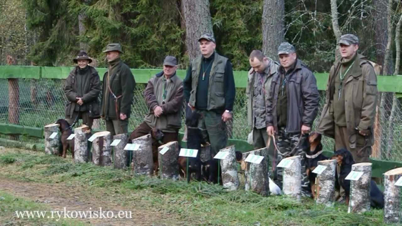 KONKURS DZIKARZY, TROPOWCÓW I POSOKOWCÓW WEJSUNY 2012