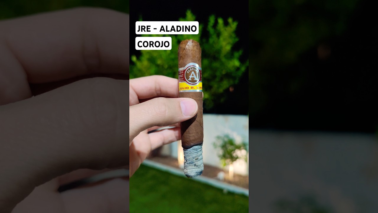 🔥👌Smoking a JRE ALADINO Corojo 💨 #cigar #cigars #corojo #cigarlife #cigarshow #asmr #shorts #lighter