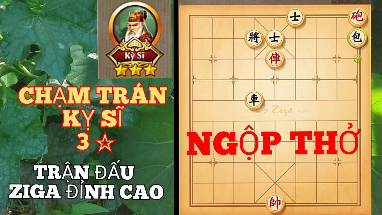 Trận cờ ziga hay nhất | chạm mặt kỵ sĩ 3 sao | trận cờ huyền thoại | cờ tướng đường phố | cờ ziga