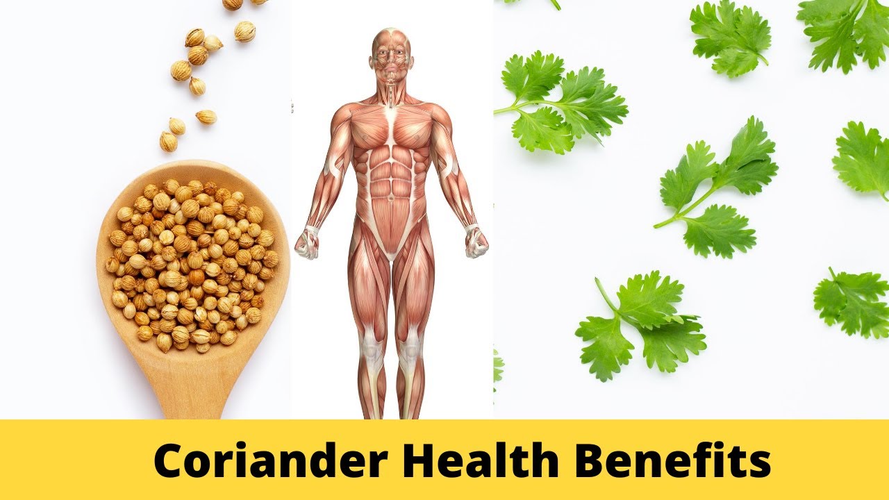 Coriander Seeds Benefits , (Nutrition)