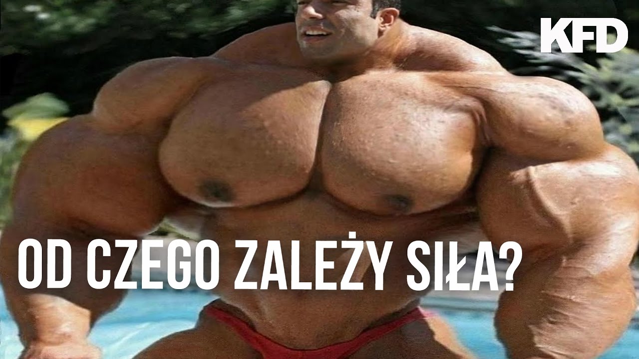 Poznaj 5 czynnik&oacute;w, od kt&oacute;rych zależy siła - KFD