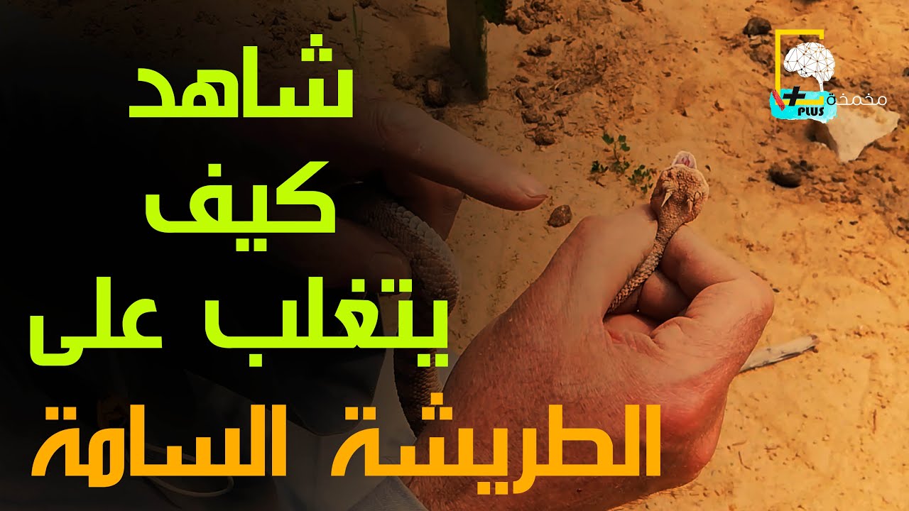 ماذا تفعل لو تعرضت للدغة ثعبان #الطريشة #السامة بعد ظهورها في#القاهرة #التجمع الخامس #الرحاب #مدينتي
