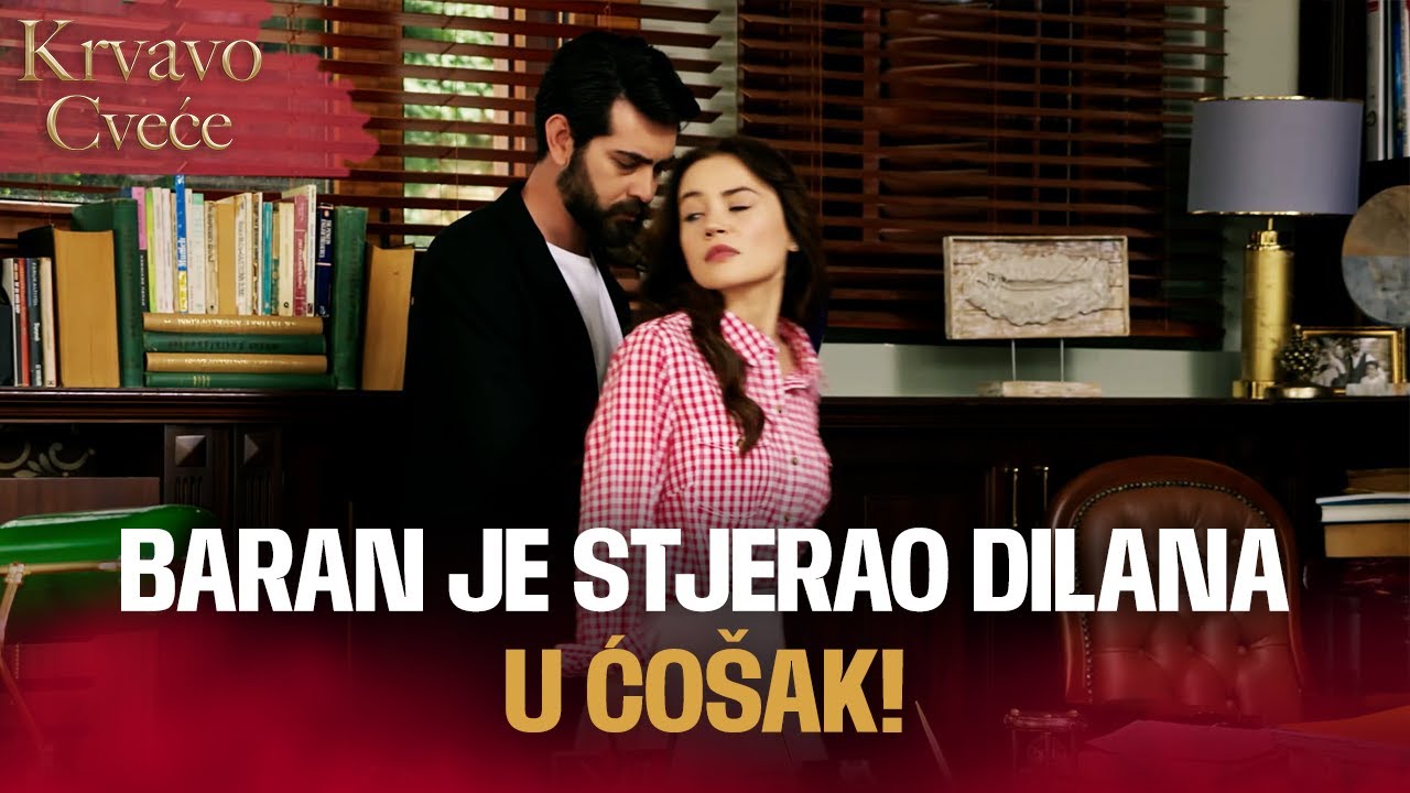 Hoće li se Dilan i Baran razvesti? | Sa bosanskim titlovima | Kan Cicekleri