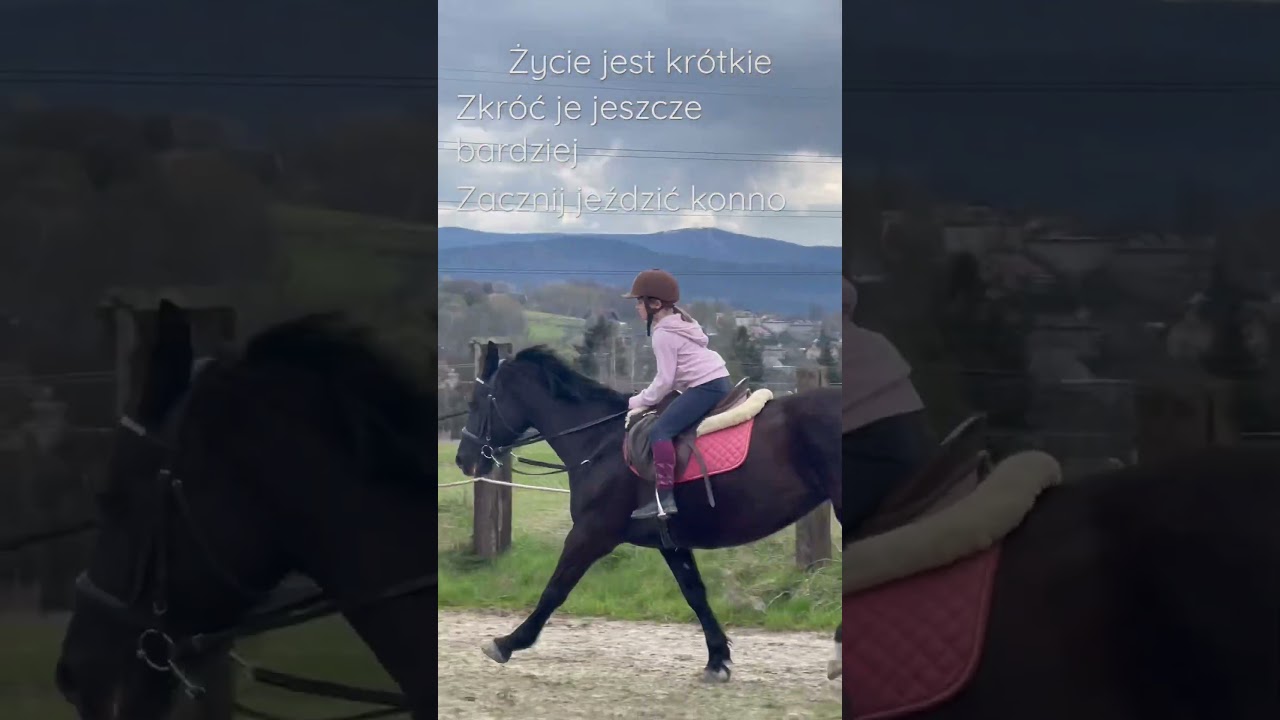 Chciała mi przejść do galopu!🤬#equestrian #horseriding #jazdakonna #jeździectwo #influenser #galop