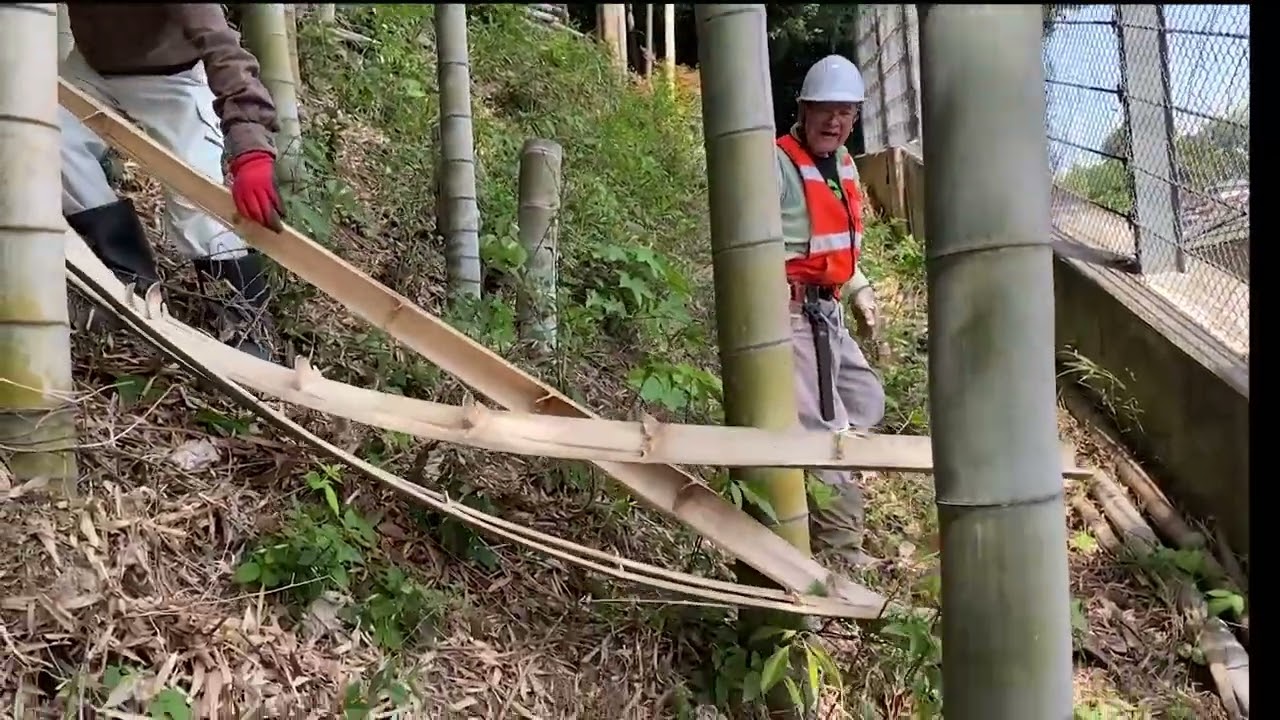 斜面の竹処理！どうするの