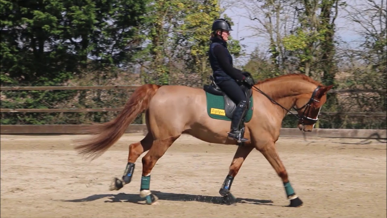 How to improve Simple Changes exercise - Dressage Training Series