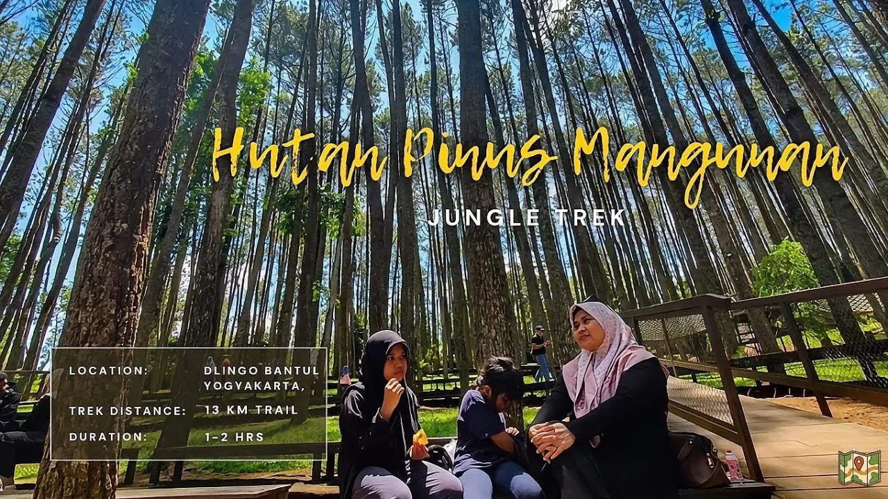 Hutan Pinus Mangunan - Wisata Alam Sejuta Pohon