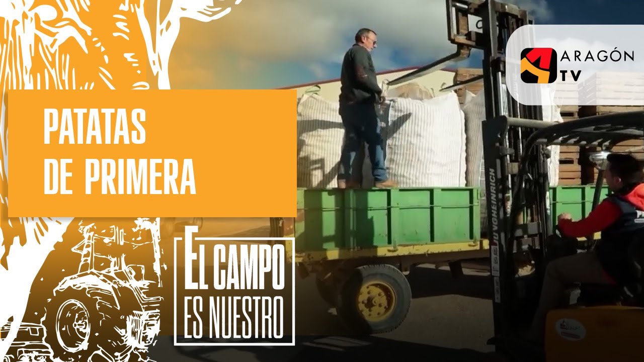 Tiene patatas de primera todo el año