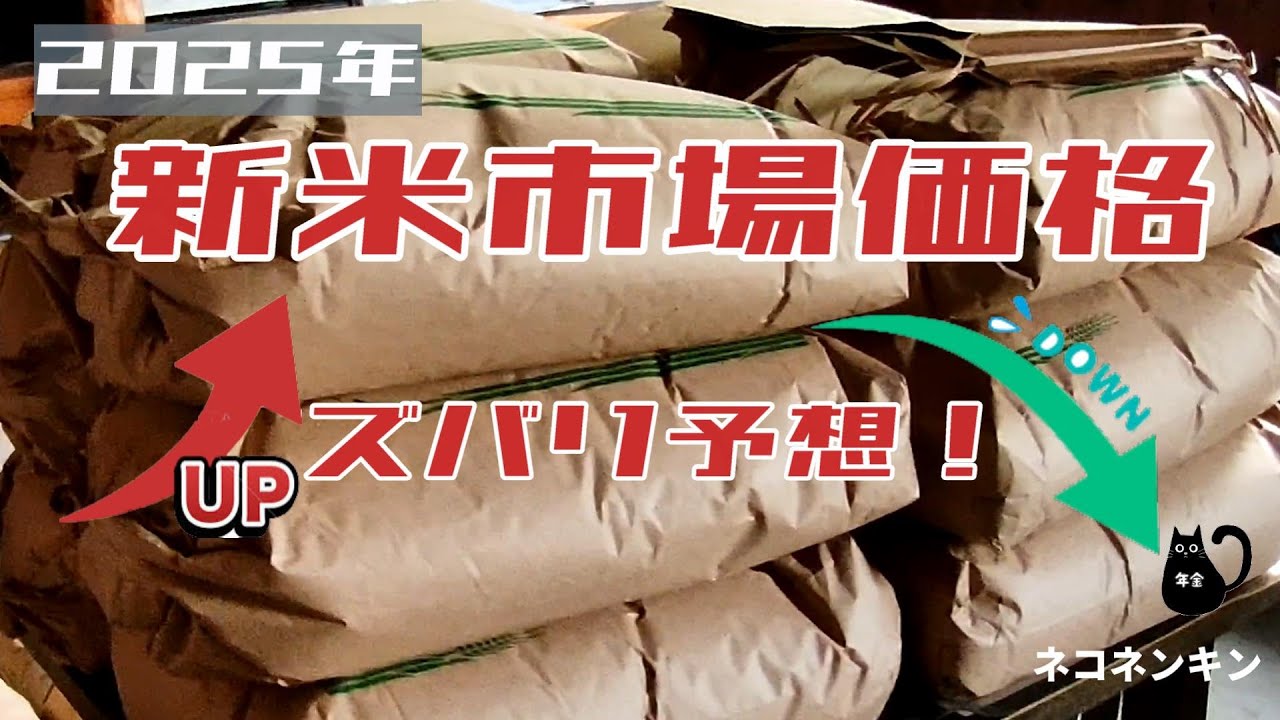 10月以降の「米の市場価格」を断言！