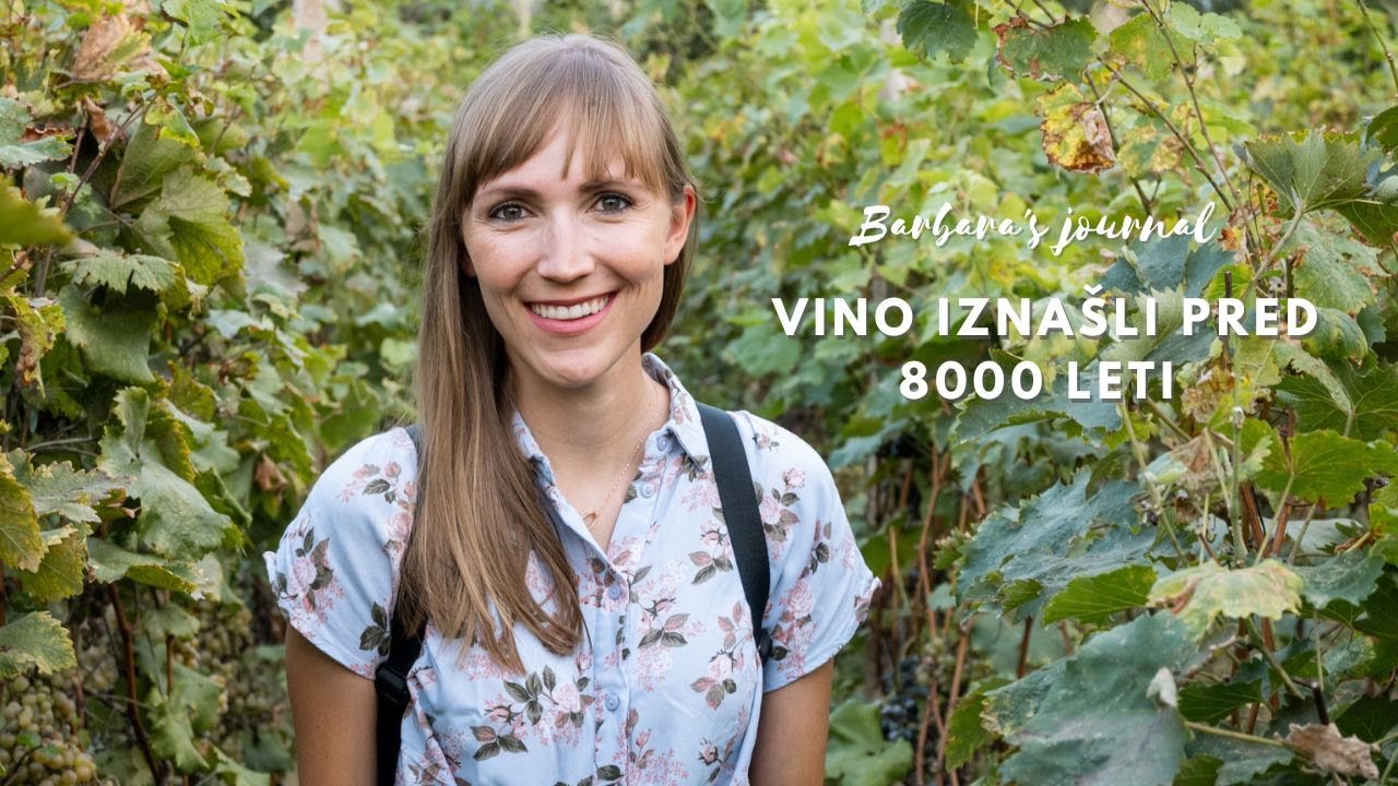 Božansko gruzijsko vino I GRUZIJA [Barbara's Journal]