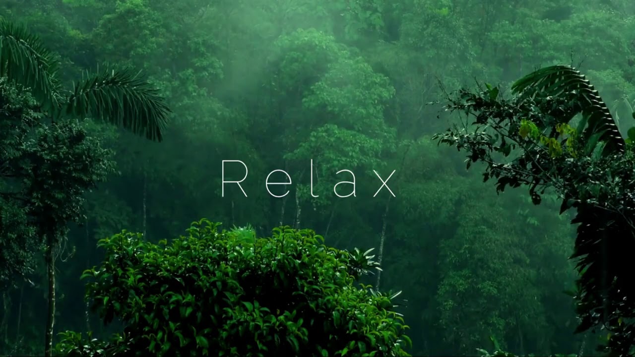 H&uuml;zurverici yağış səsi /  #rain  #sound #calm #nature