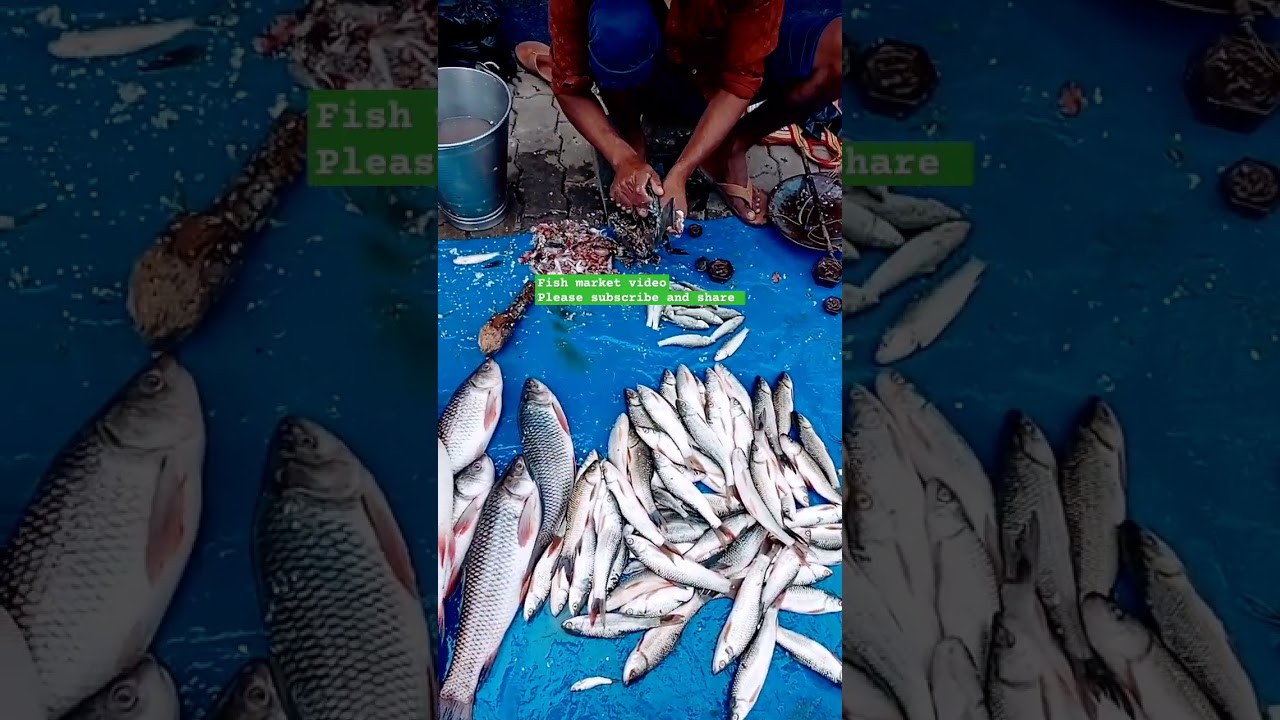 #shorts#fishmarketvideo#fishlovers#machlimarket#machlibazar.