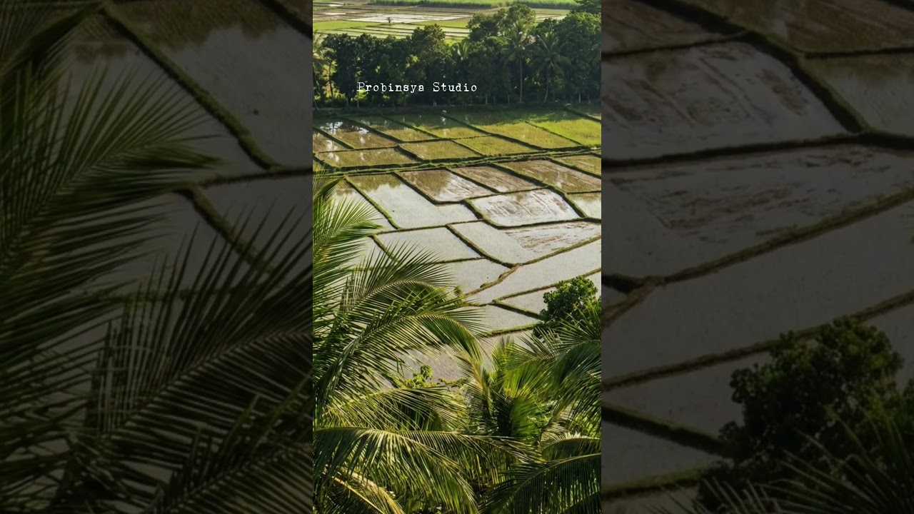 Wonderful view of life in province #province #provincelife