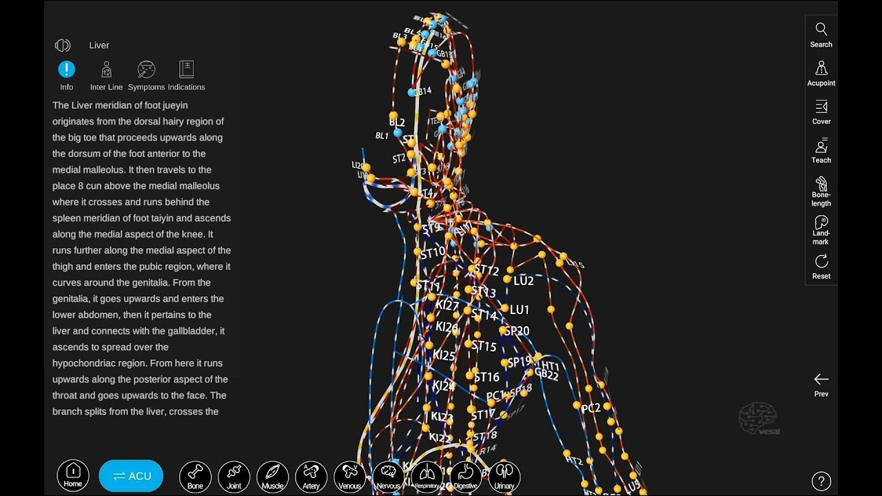 Acupuncture Master