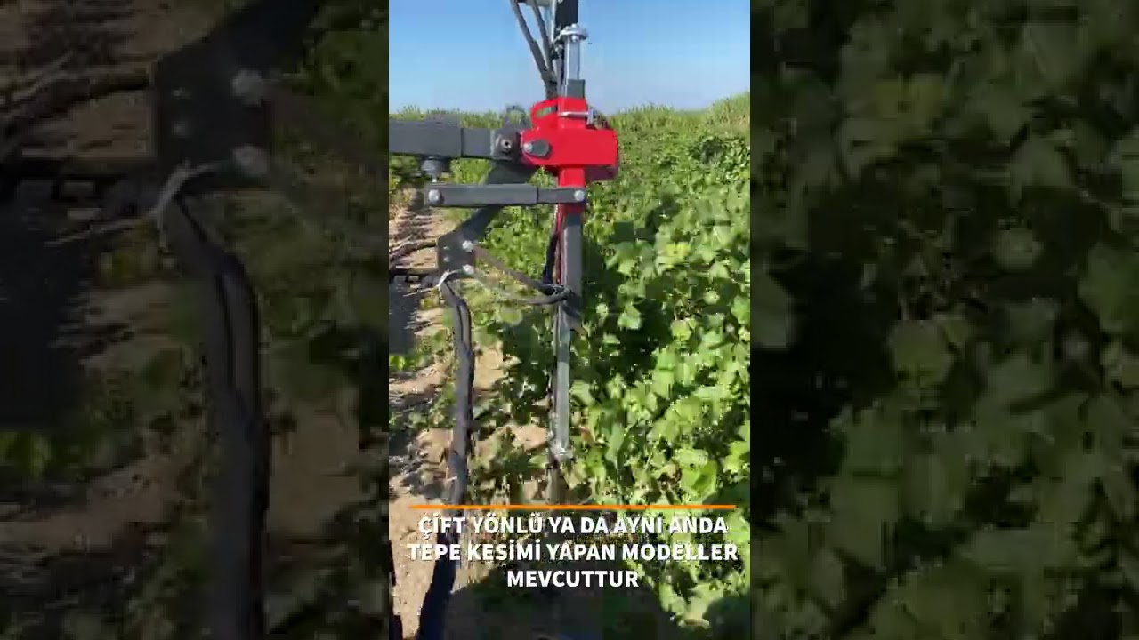 Fast and Accurate Vineyard Trimmer