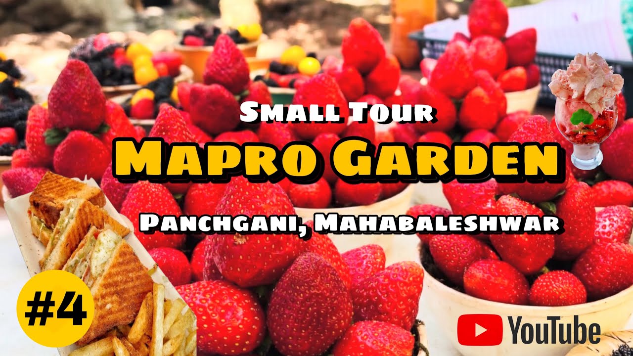 Mapro Garden tour | Mahabaleshwar | Panchgani | Wai | Satara | Mapro Food Park | Mapro Garden 