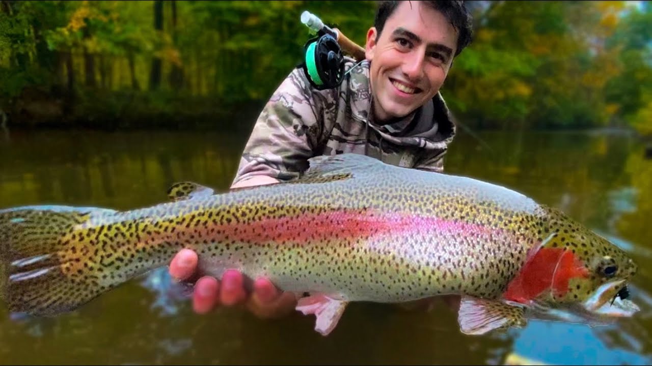 Fly Fishing in New Jersey is CRAZY (Fall Stocking 2020 and Big Trout)