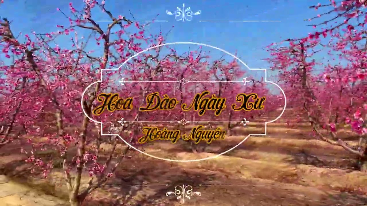 Hoa Đào Ngày Xưa (Hoàng Nguyên)