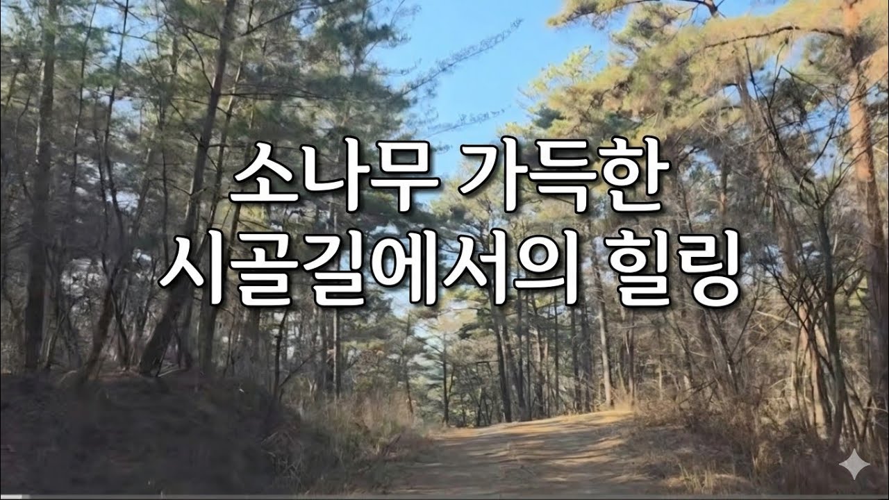 #시골길 #드라이브 # 조용한 