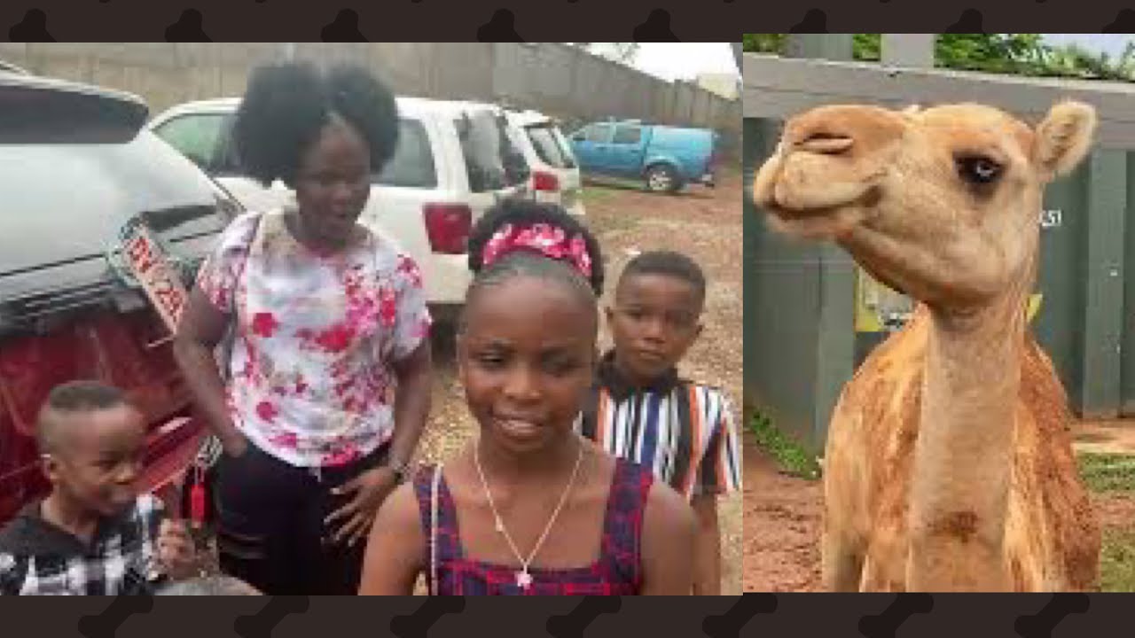 KWAKU MANU’s TIME IN KUMASI ZOO WITH HIS CHILDREN 😅 VERY FUNNY AND LOVELY 🥰