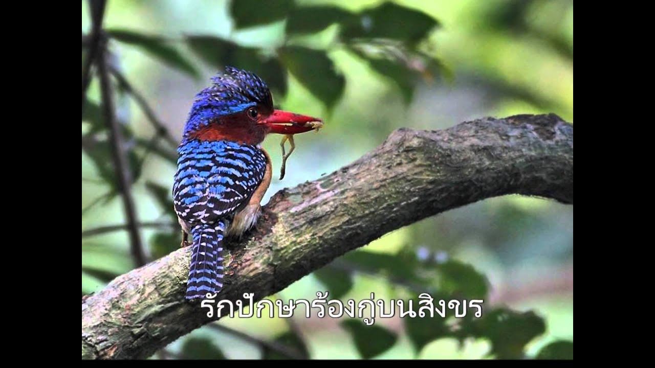 เพลงพระราชนิพนธ์ 