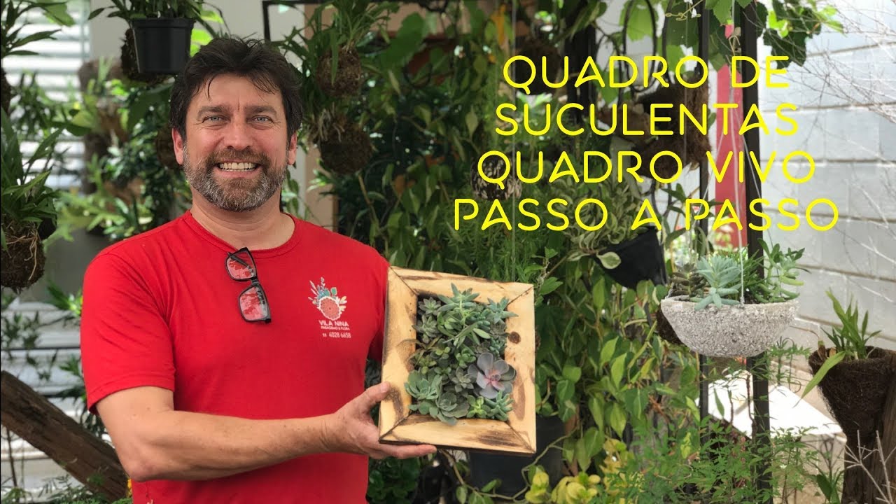 Como plantar Quadro de Suculentas - Quadro Vivo Passo a Passo