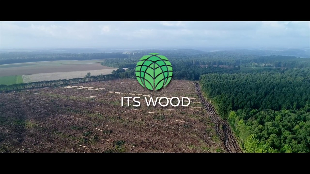 ITS WOOD - Exploitation Foresti&egrave;re